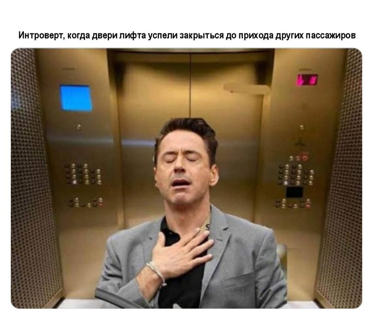 По каким фразам можно понять, что вы имеете дело с интровертом