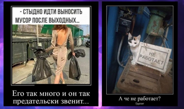 Новые демотиваторы и вынос мусора