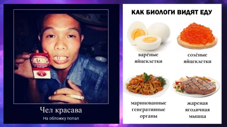 Прикольные картинки с надписями и когда попал на обложку