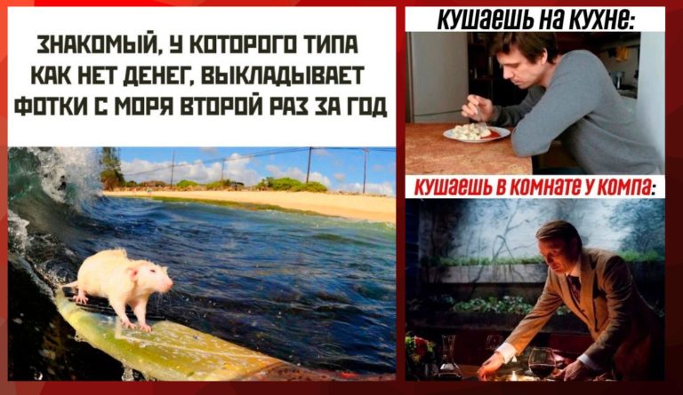 Прикольные картинки с надписями и обед у компа