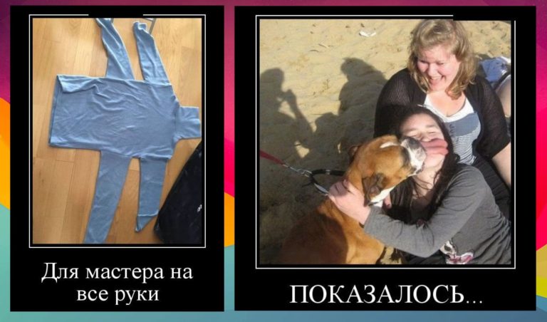 Новые демотиваторы и мастер на все руки