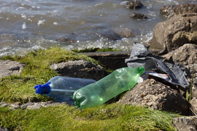 «Охота на мусор»: стартовала акция по сбору мусора в водоемах Латвии. Можно выиграть 200 евро