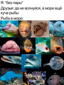Прикольные картинки с надписями и батя на даче