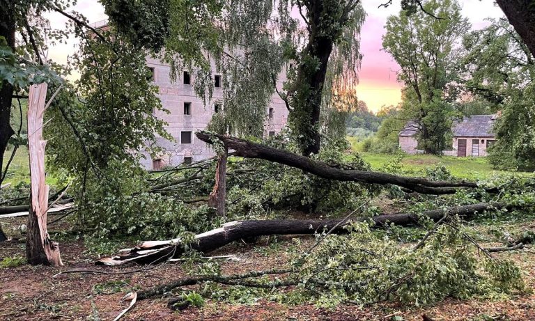 Ущерб от июльской бури в Бауском крае составил более 370 тысяч евро