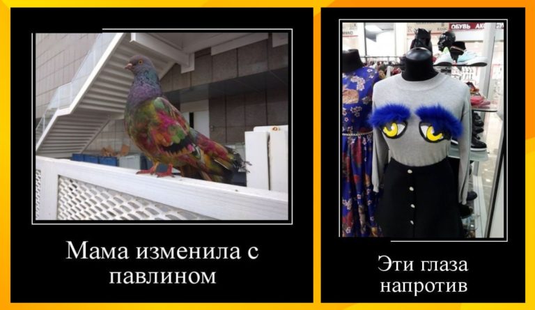Новые демотиваторы и измена с павлином