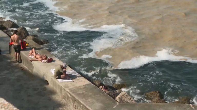 Из-за жары водоросли заполонили поверхность Адриатики