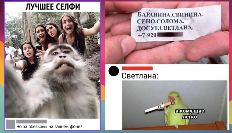 Забавные комментарии, которые как острый соус приправляют сам пост
