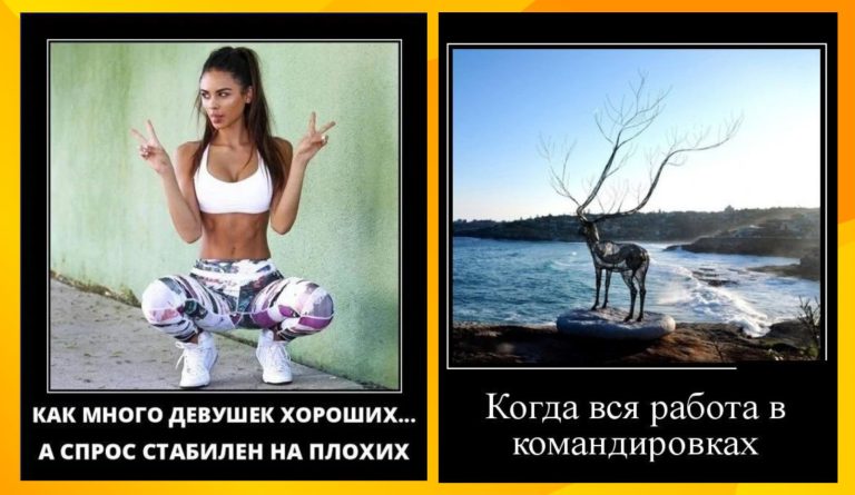 Новые демотиваторы и стабильный спрос на плохих парней