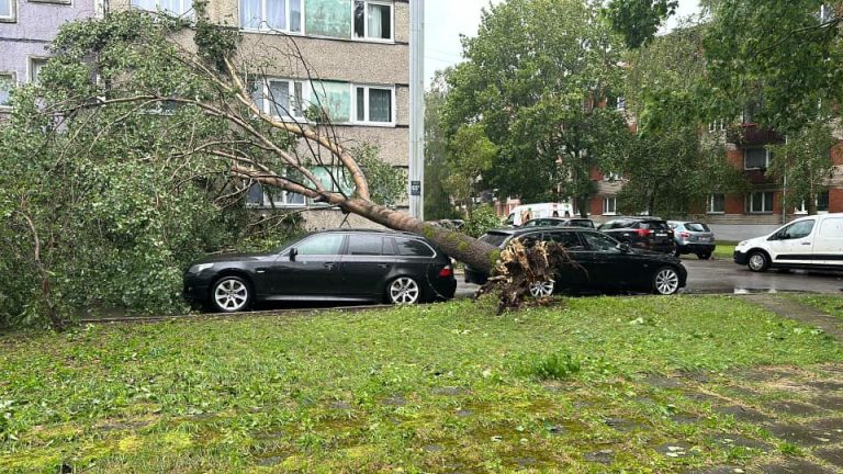 После бури: страховые компании получили заявки на возмещение на общую сумму в 7 миллионов евро
