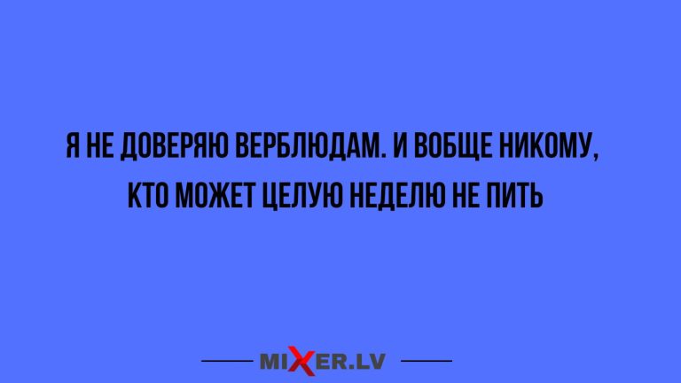 Юмор за день и верблюды