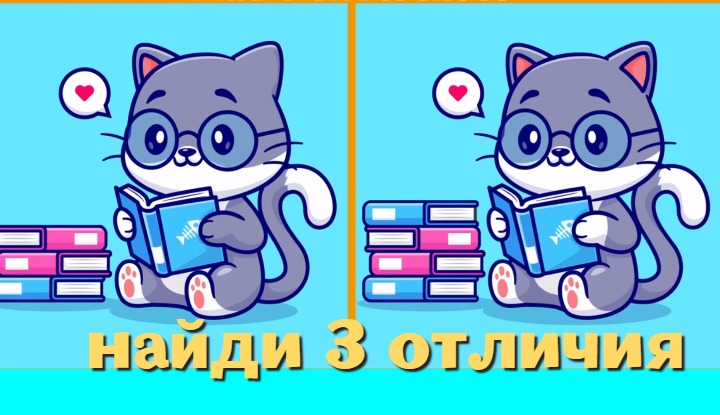 Тест «Кот учёный»: срочно найди 3 отличия в книжной головоломке