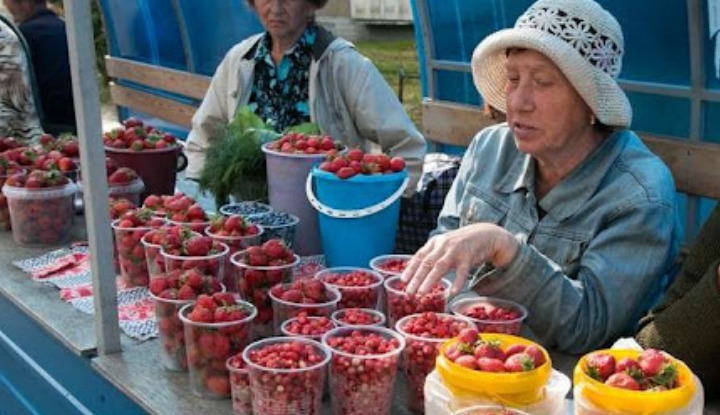 Надо ли платить налог с продажи грибов и ягод? Разъяснения