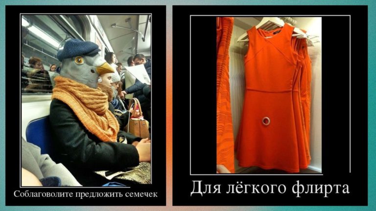 Новые демотиваторы и воробей в метро