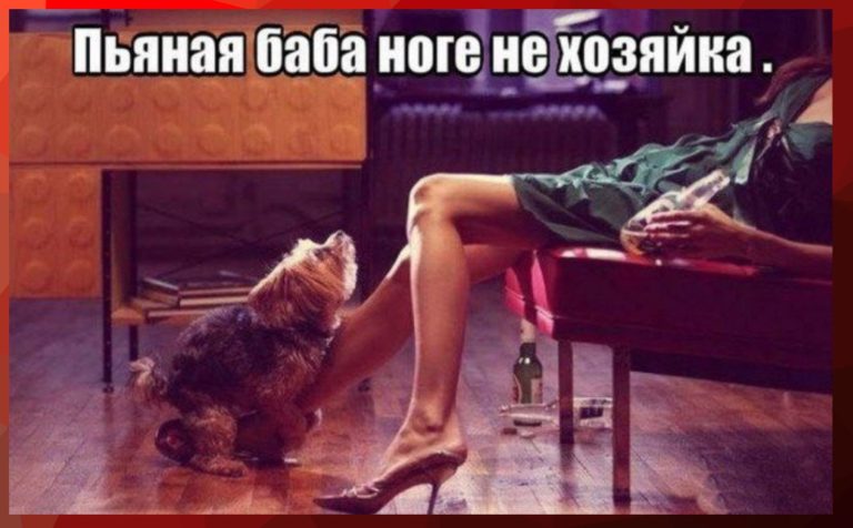 Коллекция юмора на всякие взрослые темы и собачка