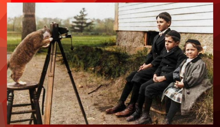 20 интересных, раскрашенных исторических фото и кот — фотограф