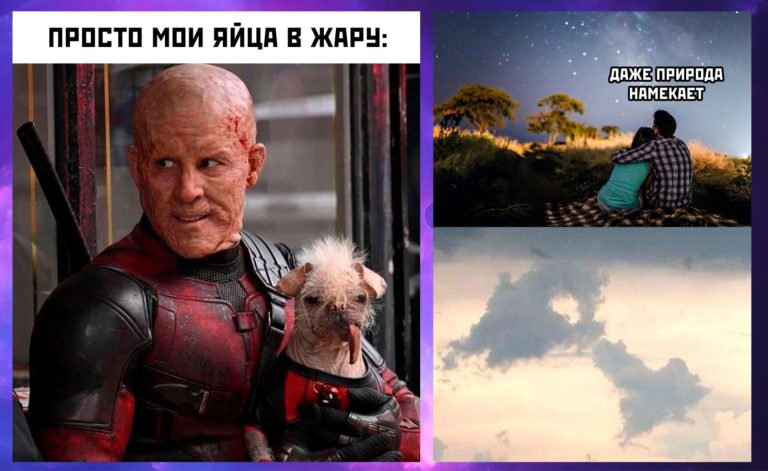 Юмор с мемами на всякие взрослые темки и намеки от природы