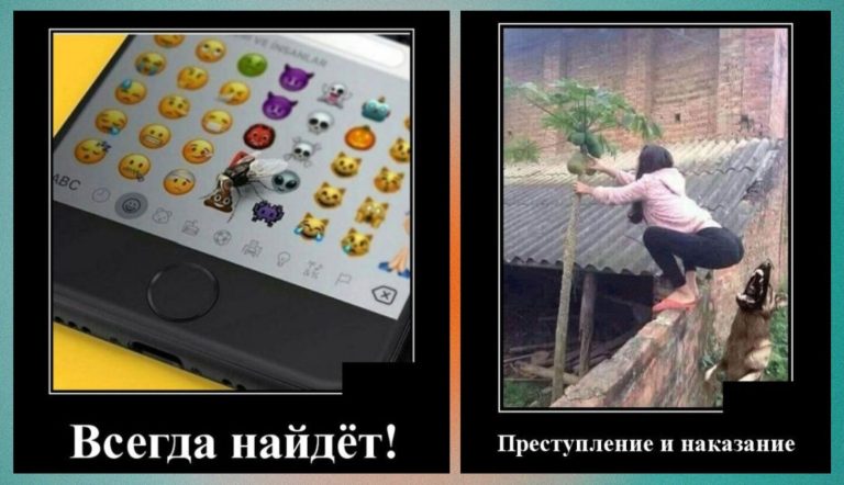 Новые демотиваторы и преступления с наказанием