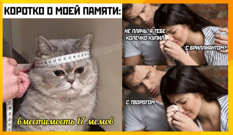 Прикольные картинки с надписями и 17 мемов