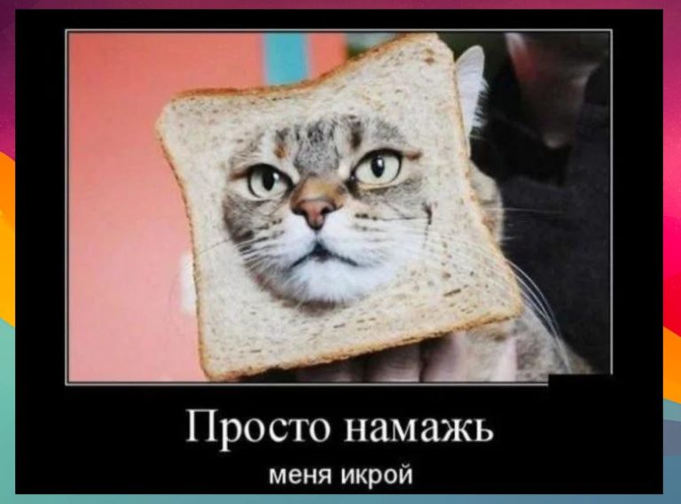 Новые демотиваторы и просто намажь кота икрой