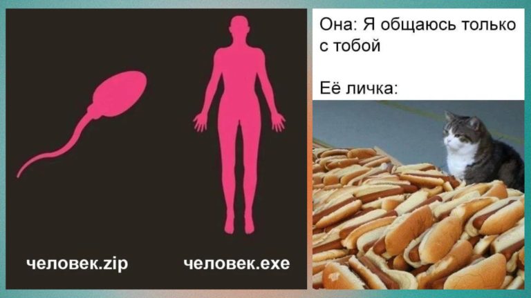 Нестандартный юмор в конце недели и её личка