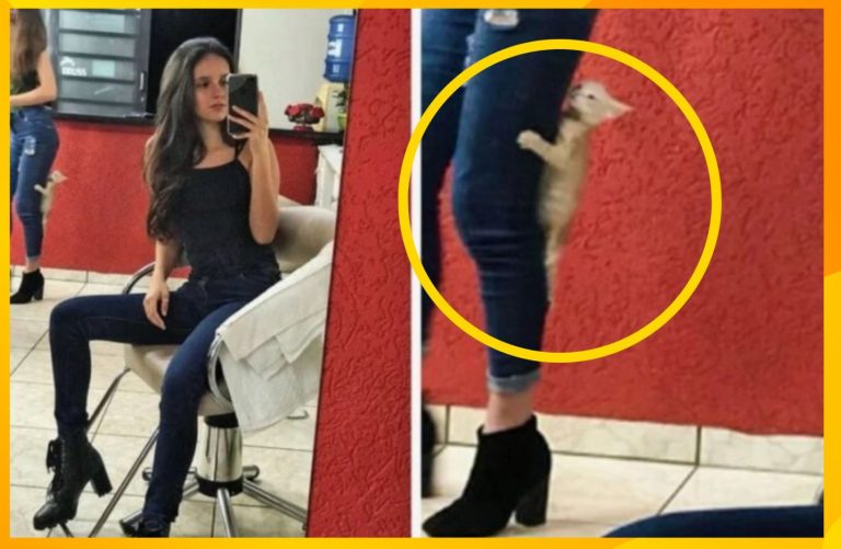 Снимки с эпичным задним планом для тренировки внимательности