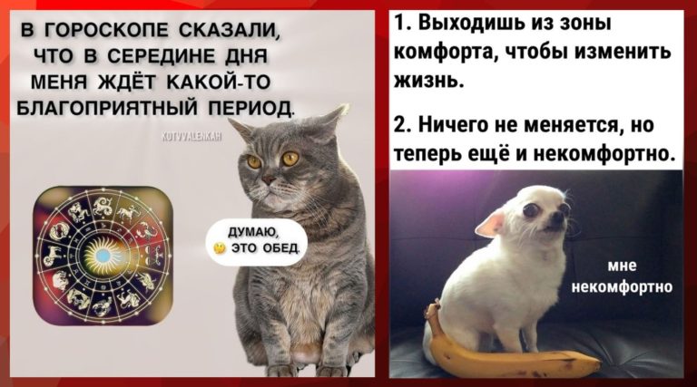 Прикольные картинки с надписями и благоприятный период