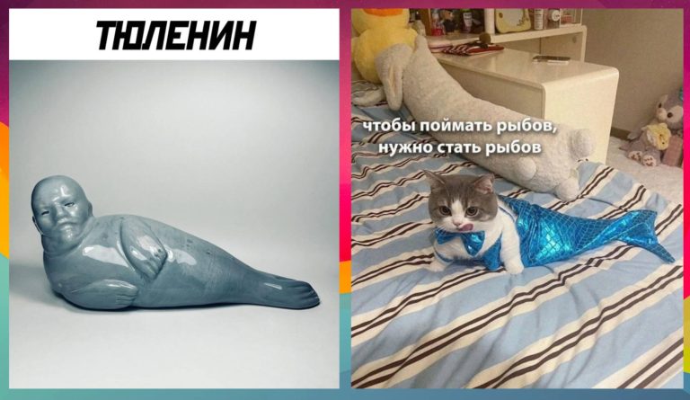 Прикольные картинки с надписями и Тюленин