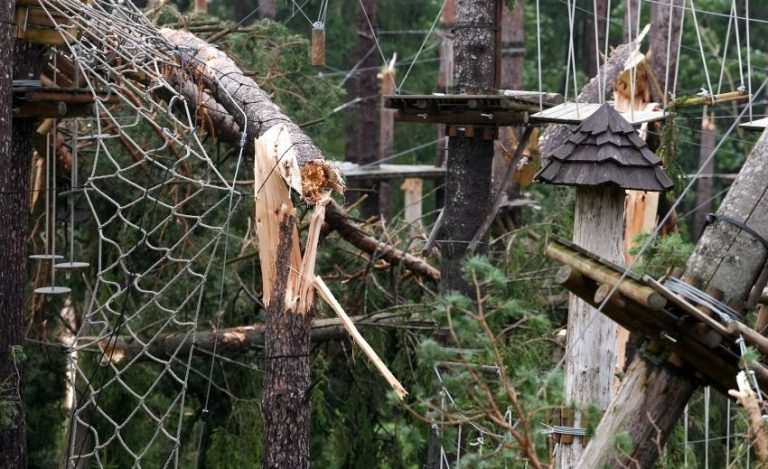 Терветский парк после бури будет закрыт как минимум на месяц
