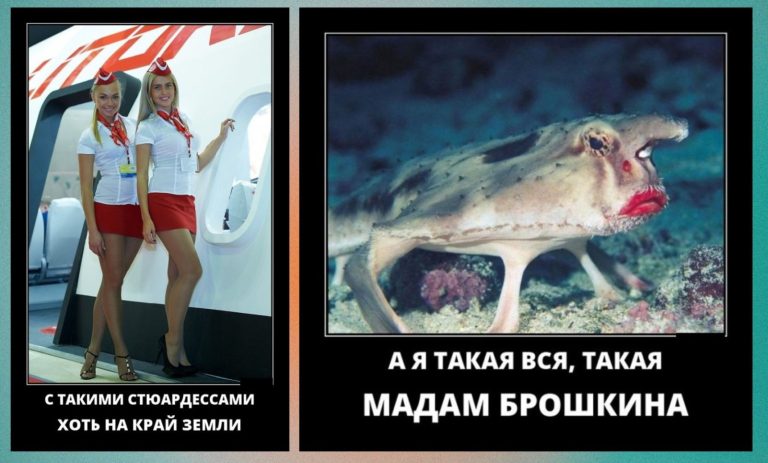 Новые демотиваторы и мадам Брошкина