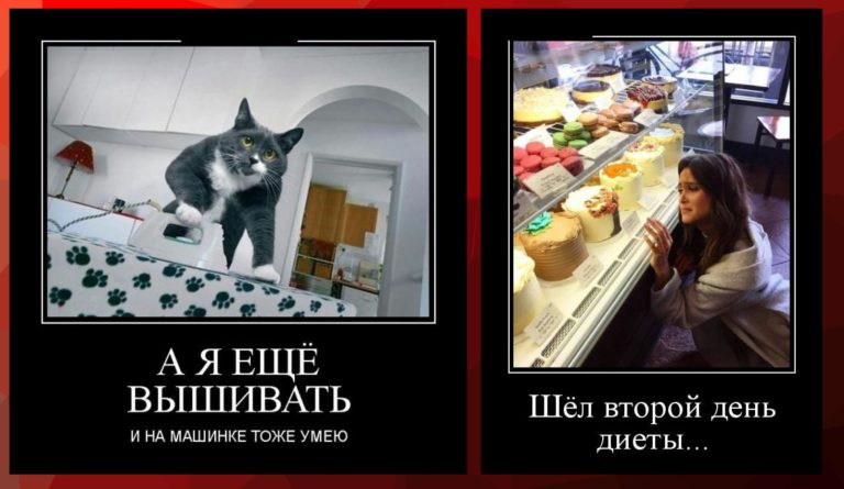 Новые демотиваторы и второй день диеты