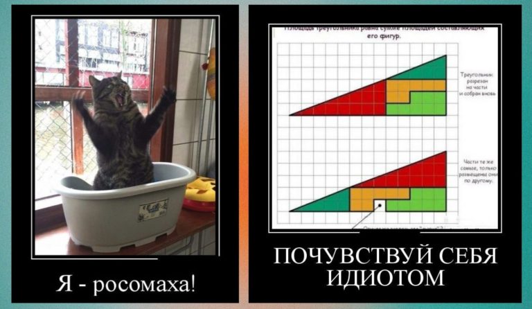 Новые демотиваторы и росомаха