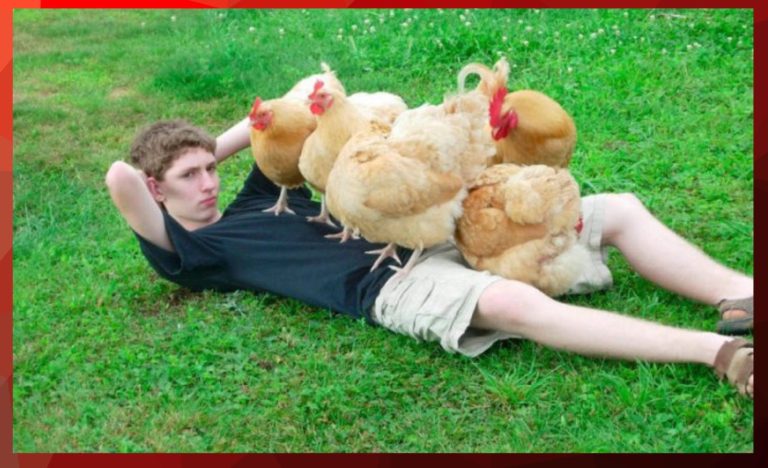 Удивили по полной! 28 фотографий на которых творится отборная дичь