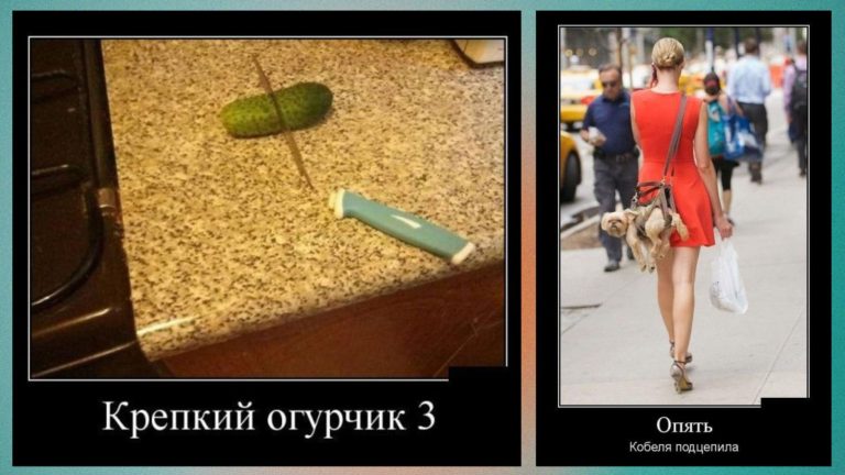 Новые демотиваторы и крепкий огурчик
