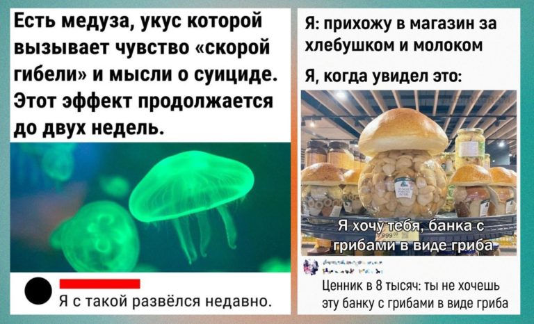 Забавные комментарии, которые как острый соус приправляют сам пост