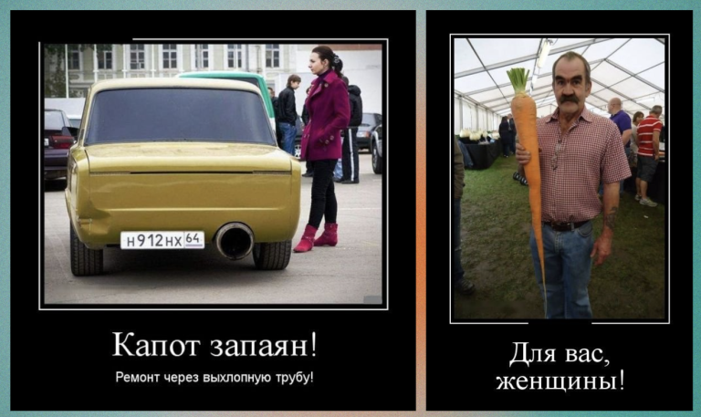 Новые демотиваторы и завидная морковка