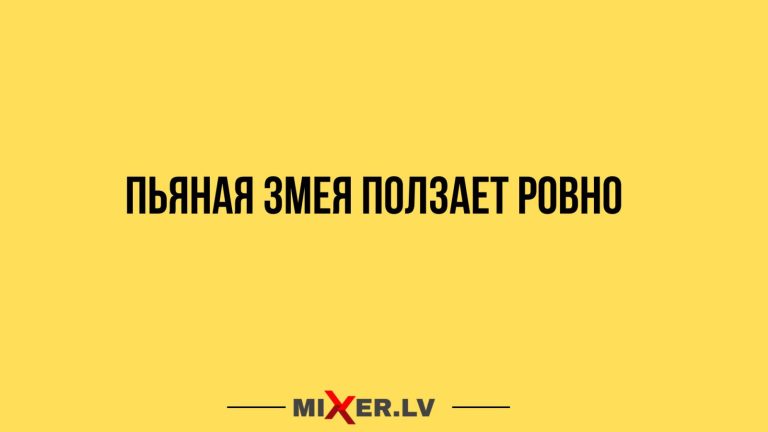 Юмор за день и пьяная змея