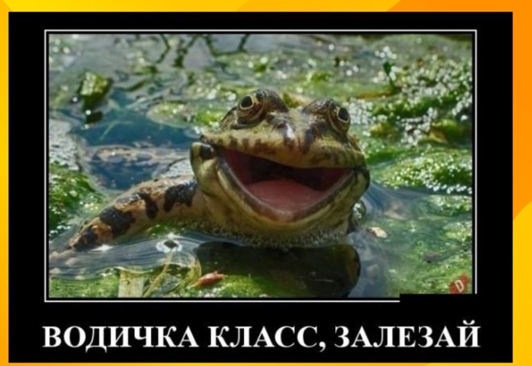 Новые демотиваторы и тёплая водичка