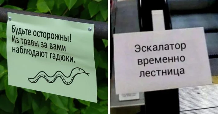 Осторожно, наблюдают гадюки! 16 смешных объявлений и табличек