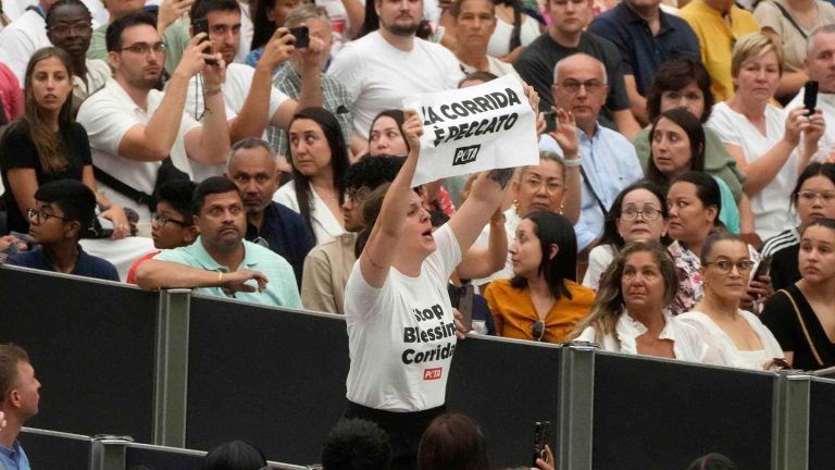 Аудиенцию Папы Франциска в Ватикане прервали зоозащитницы — они требовали, чтобы он осудил корриду
