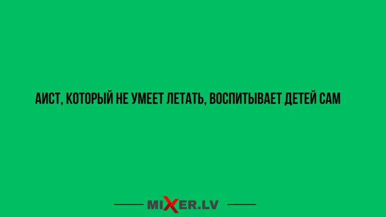 Юмор за день и аист, который не умеет летать
