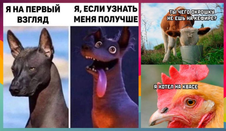 Прикольные картинки с надписями и окрошка на кефире