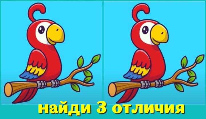 Попугайская задача: найди 3 оличия за 10 секунд