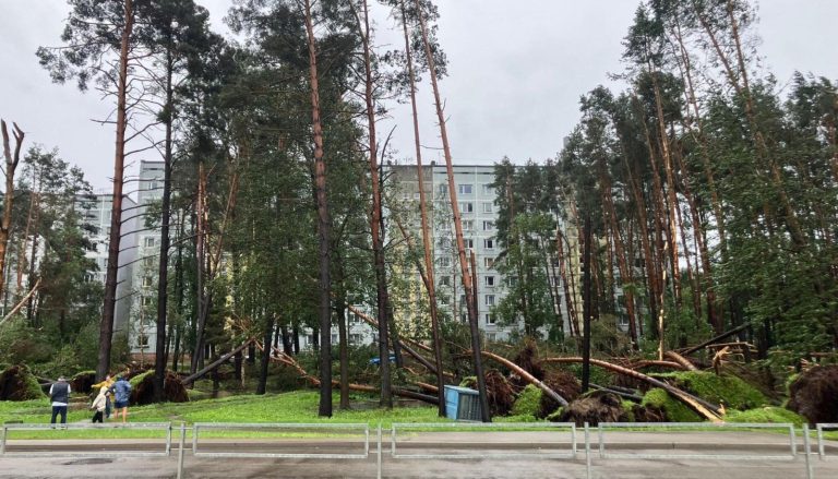 Ущерб от урагана для Юрмалы вылился в 11 млн евро