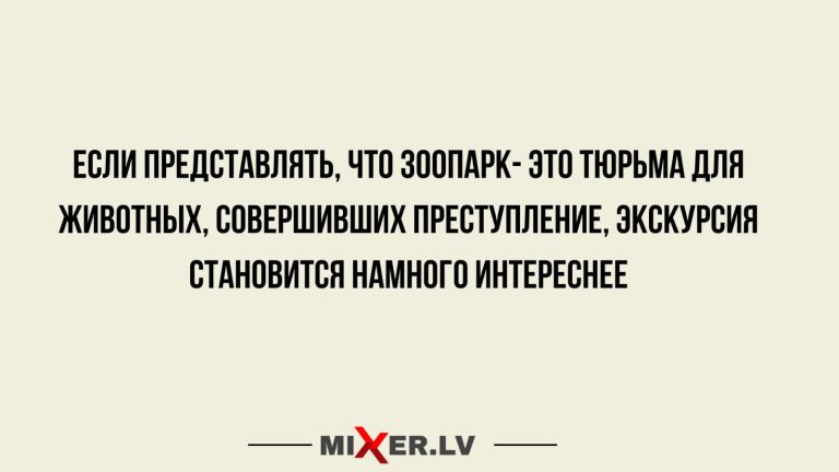 Юмор за день и интересная экскурсия