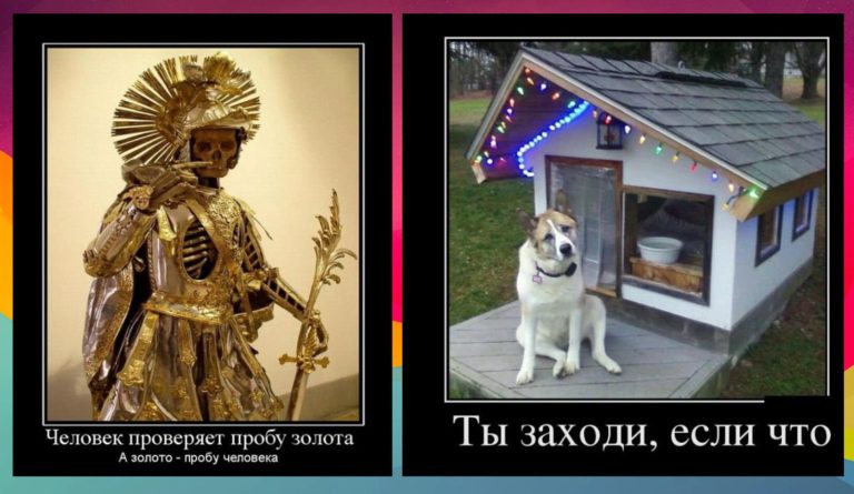 Новые демотиваторы и золотой человек