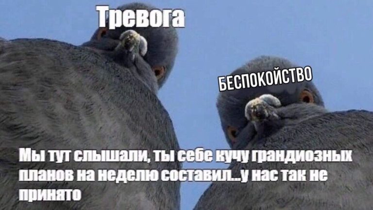 Тревога, перейди на Снуп Дога: 8 проверенных методов для борьбы с беспокойством