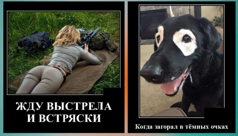 Новые демотиваторы и загар в очках