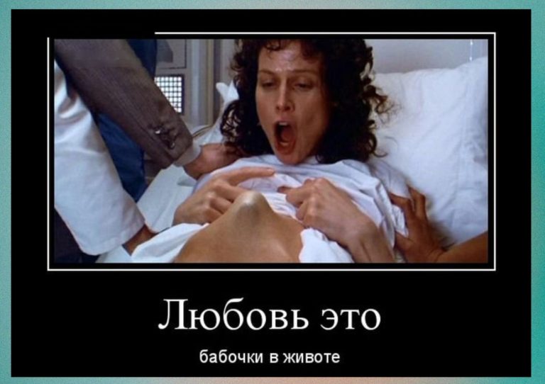 Новые демотиваторы и бабочки в животе