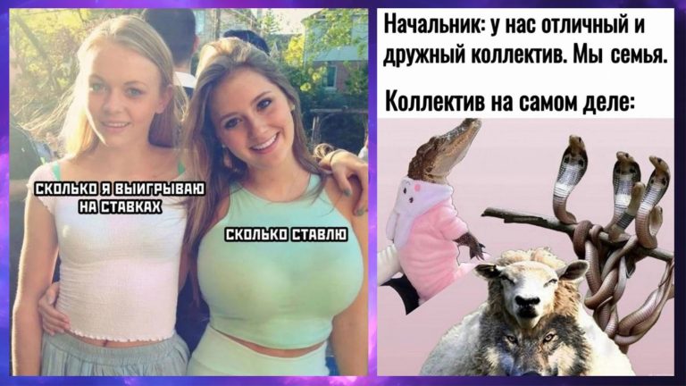 Прикольные картинки с надписями и выигрыш на ставках