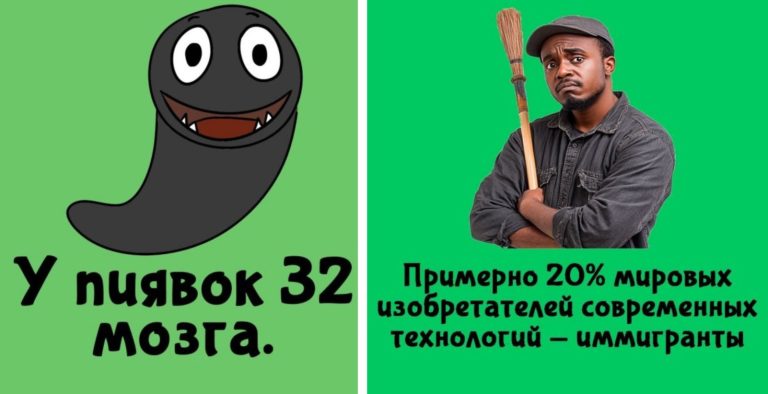 Прокачай IQ: интересные факты на разные темы и 32 мозга пиявки